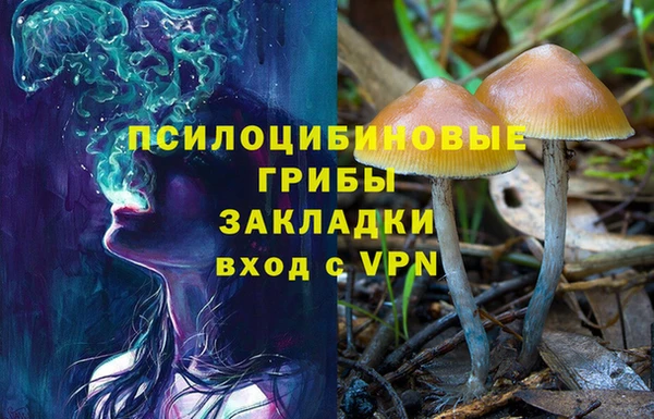jwh Карпинск