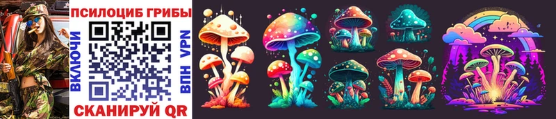 Псилоцибиновые грибы Magic Shrooms  Купить где  Томилино 